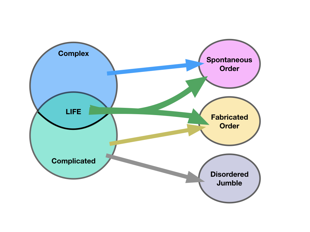 complex and complicated map to spontaneous and fabricated order