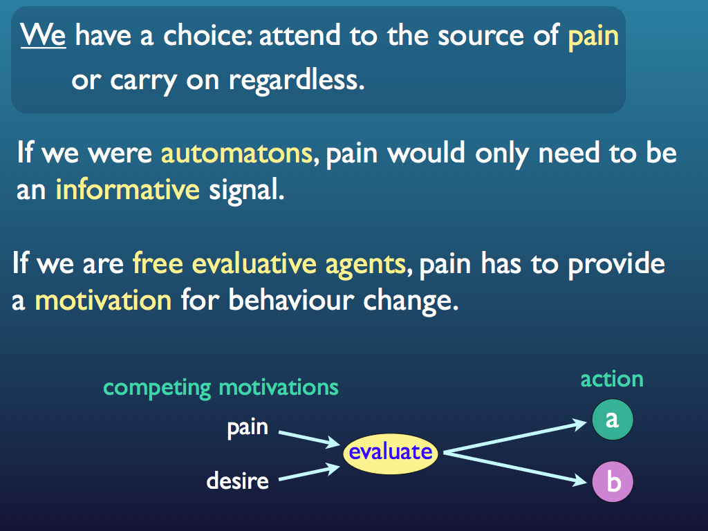 Pain Explained