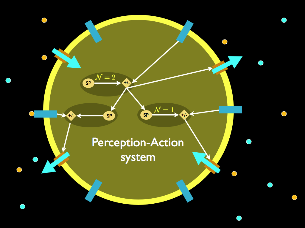 perception-action system