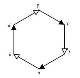 hierarchical cycle