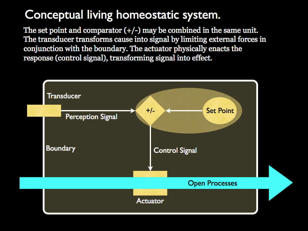 Homeostatic system