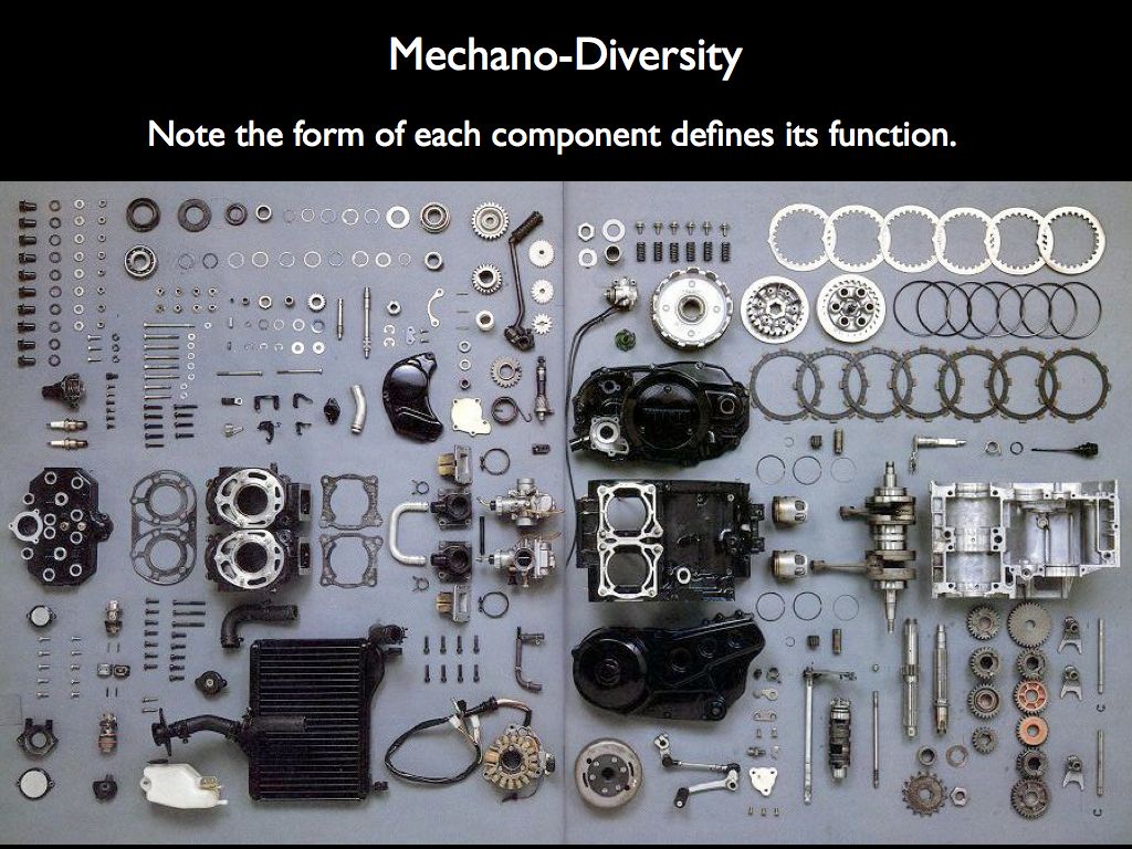 mechano-diversity