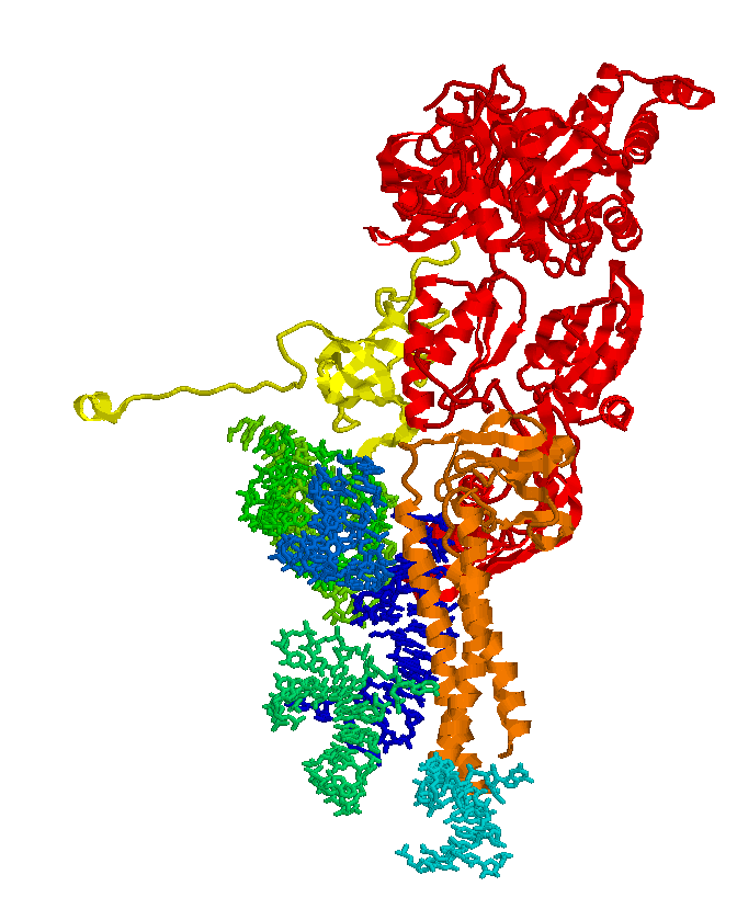 molecule