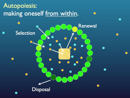 Autopoiesis.jpg, Apr 2022 Autopoiesis.jpg, Apr 2022
